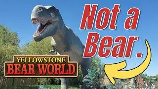 Yellowstone Bear World: What You Need to Know | Tour and Review | MagicalDnA