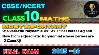 Polynomials  😱Class 10 |Chapter 2 |AlphaBeta Questions |Important Questions🚀