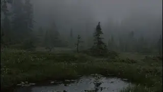september - sparky deathcap slowed down + looped