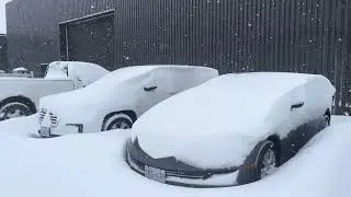 Bảo tuyết tại Canada