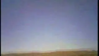 Firebird flight over upjohn park