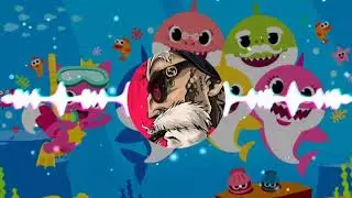 Baby Shark - (Funk Remix) - by: Sr MKG