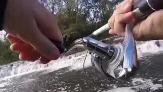 Cazenovia creek trout fishing