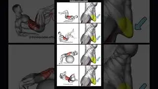 Loss Tummy Fat | Yoga Sir #shorts #viral #trendingshorts #workout #yoga #motivation