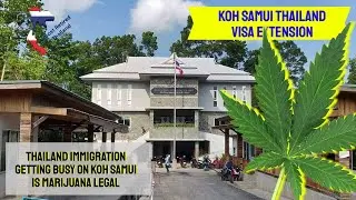 Immigration Visa Extension - Koh Samui is Getting Busier - Is Marijuana Legal in Thailand