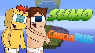 Nuevo minijuego c/ MrAbuba7 || SUMO || CanelaPlus