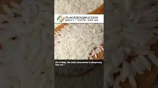 UAE Temporarily Bans Exports And Re-Exports Of Indian Rice