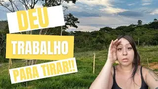 Invadiram nosso pasto | Veja o que aconteceu