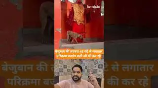 48 घंटे से परिक्रमा 🥺🙏#shorts #bajrangbali #doglove #comediianravi