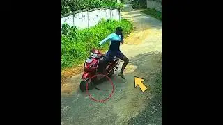 😯Snake on the road😯 Snake comes on road #factsintamil #amazingfacts #touchfacts #shorts