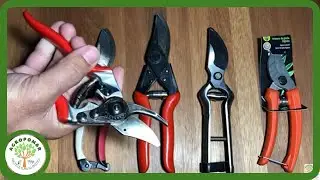 Como Escolher a Tesoura de Poda Ideal ✂️ Dicas para Acertar na Compra