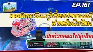 EP.161 เทคนิคเตรียมตู้สำหรับเลี้ยงปลาหมอสี(สำหรับมือใหม่) แถมเปิดตัวหลอดไฟรุ่นใหม่