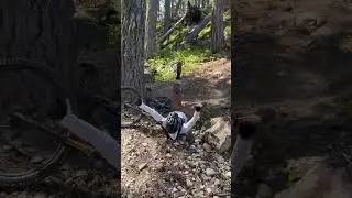 We Have NO Idea How He Survived This Crash...