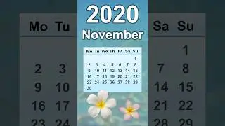November 2020 Calendar