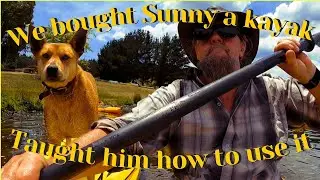 We Got Our Dog a Kayak! 🐶🚣‍♂️ Training Tips & First Paddling Adventure
