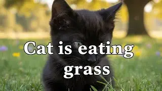 😻Baby cat eating grass....🌿😻 Cute cat/ baby cat/ eating time/ Desi cat..🐈&zwj;⬛️