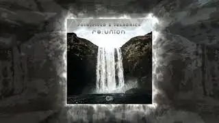 Pointfield & Tranonica - A day on wich no man was born (Original Mix)