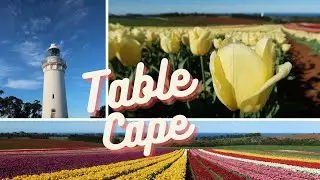 Table Cape Tulip Farm || Travel Tasmania
