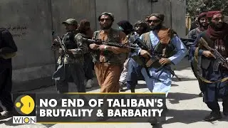Video posted on social media exposes Taliban's oppression | On video: Handcuffed men in car trunks