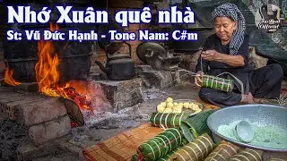 Karaoke Nhớ Xu&acirc;n Qu&ecirc; Nh&agrave; Tone Nam | TAS BEAT