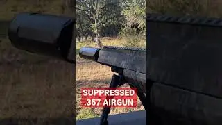 White Tail Deer Crossing The Range While Shooting the Benjamin Bulldog .357