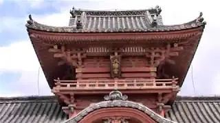 伊佐爾波の春