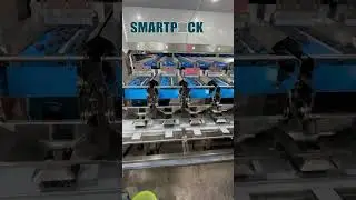 Blueberry clamshell system smartpack