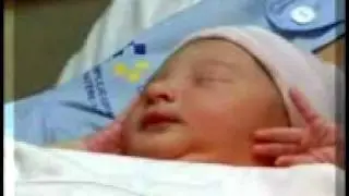 PARIA QUITEÑA