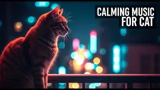 12 Hours of Relaxing Cat Music 😽 : Natural Anxiety Relief, Deep Sleep Aid, and Insomnia Healing
