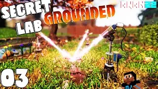 Grounded : 