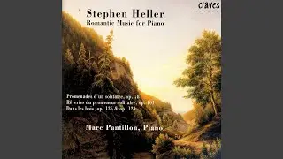 Dans les bois, nouvelle s&eacute;rie, Op. 128: VI. Ecureuil poursuivi