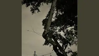 4: AM