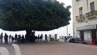 Live Italian music at Comune di Giardini, Messina
