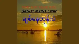 Pawi Par Say