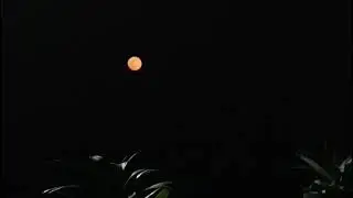 Thar Desert Safari-Super moon in Umerkot