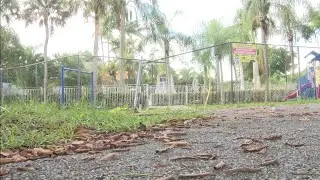 Teen visiting South Florida fatally shot at family gathering