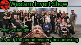 Invert show UK, Invert show Bristol. Что мы купили и распаковка таинственной коробки стоимостью 1...