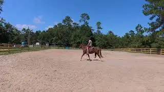 Arena Work Getting This mare  Back in Shape 🐎 | Conditioning Ride