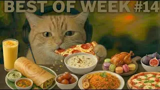 ASMR Cat Weekly Compilation #14 🐾🎧 | Best of MunchyCat Eating Mukbang
