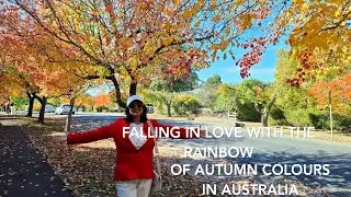 AUTUMN IN MACEDON RANGES(in english)