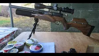 The John Bowkett blue print tuned BSA R10 SE  22 rifle 15-12-17