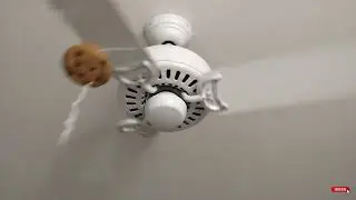 a cookie attached to a string spinning on a ceiling fan