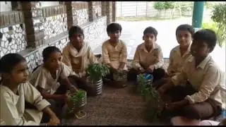 Satya Bharti School Talwara DFC 2016-2017