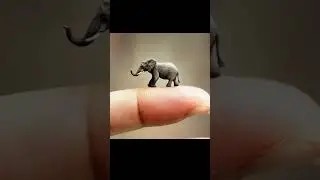 Cute animals on finger tips #cute #kids #baby #babyanimals #animals #kidsvideo