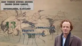 Notabolamus - Dreamscape 1490 - Beat Furrer, Hegel Remogny, Cranes (Kishi Ganku)
