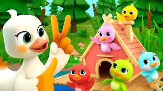 Five Little Ducks + Twinkle Twinkle Little Star | Baby Shark | Popular Nursery Rhymes