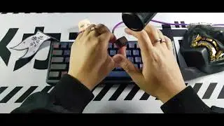 Vega with Lumia switches / Keyboard typing sounds ASMR
