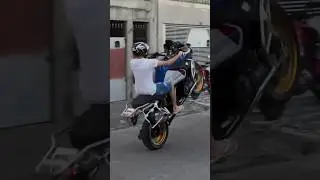 BMW GS 1250 R wheelie 🔥#shorts #bmw #gs #gs1250 #wheelie