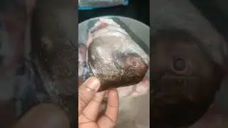 ORDERED ROHU FISH FROM LICIOUS|LICIOUS FRESH ROHU REVIEW|LICIOUS NONVEG ONLINE DELIVERY APP ₹370