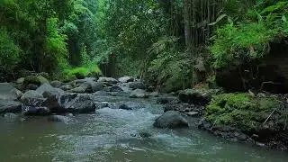 Relaxing River Sounds &ndash; Moss Glen &mdash; no city noise, only creek.
